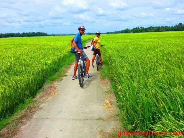 Hoi An Biking Tour Half Day