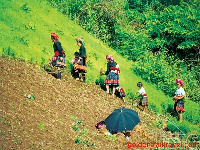 Lai Chau Bicycle Tour from Sapa 3 Days