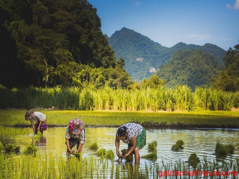 North East Vietnam Loop Trekking 6 Day