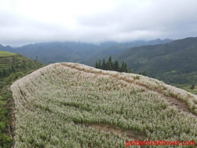 North Vietnam Trek 10 Days Bac Ha, Ha Giang