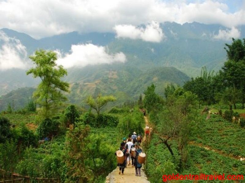 Northern Vietnam Trekking Tour 8 Day