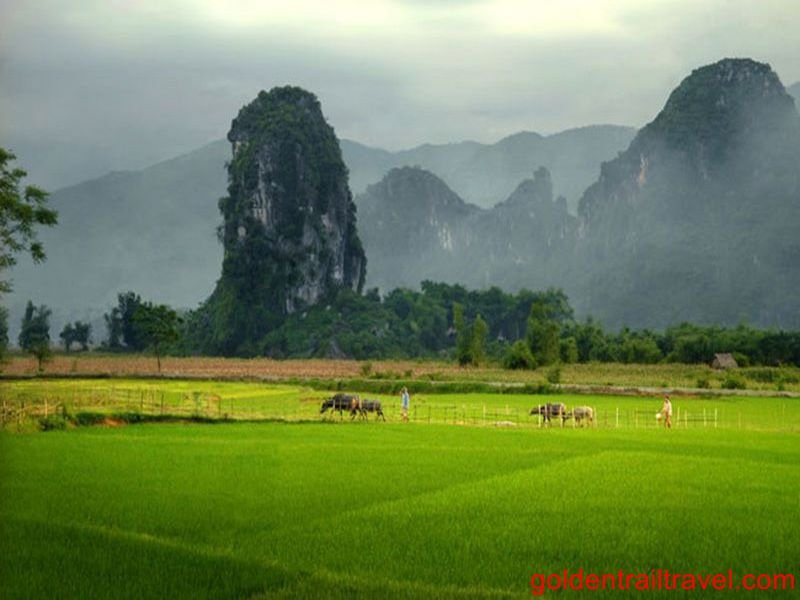 Trek Pu Luong & Ngoc Son Ngo Luong 4 Day