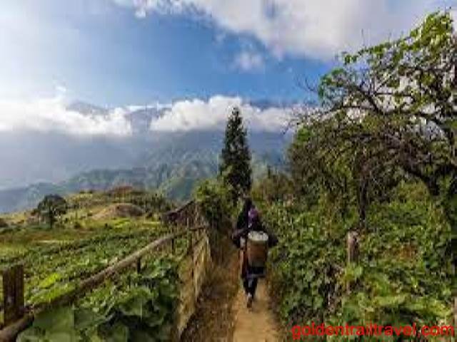 Trek Sapa 2 Days Sin Chai Village Route