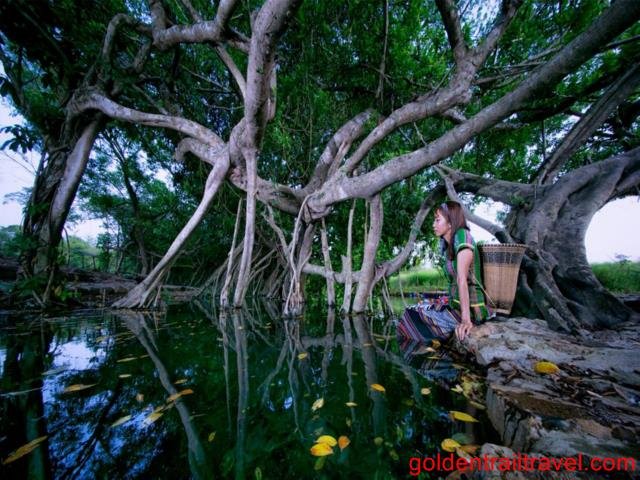 Trekking Cat Tien National Park 2 Days Itinerary